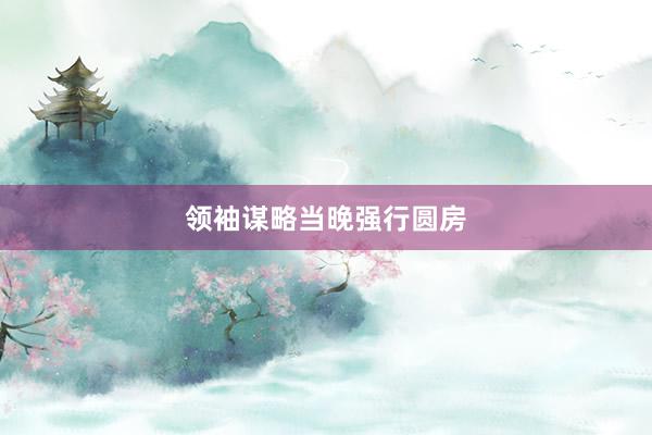 领袖谋略当晚强行圆房