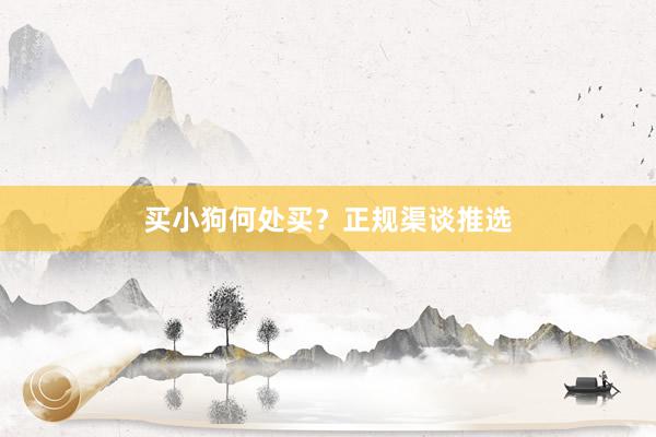 买小狗何处买？正规渠谈推选
