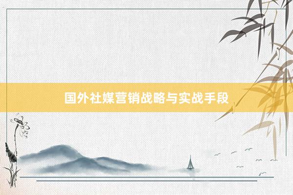 国外社媒营销战略与实战手段